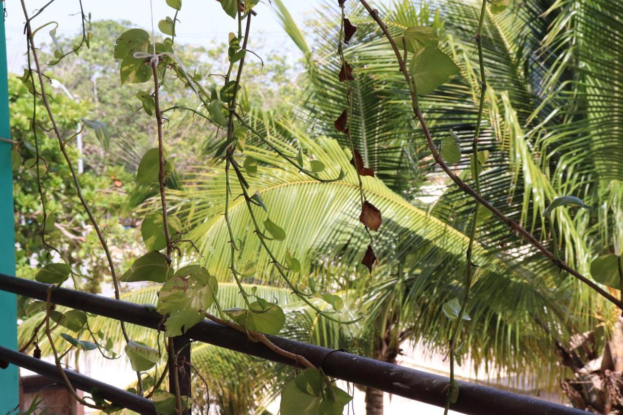 Hotel Andrea'S Tulum Exterior foto